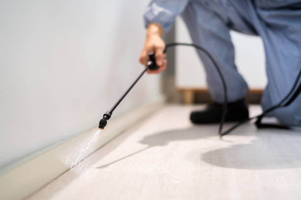 Licensed Termite Control service in Ward County County, TX - Nex Pest Control