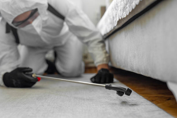 Professional Termite Control technician working in Ward County County, TX